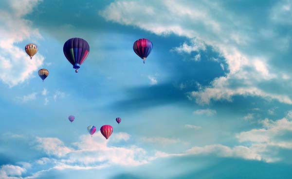 我們的服務(wù)